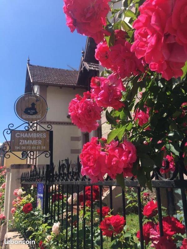 Gites Au Pied Du Haut-Koenigsbourg Kintzheim Exterior photo
